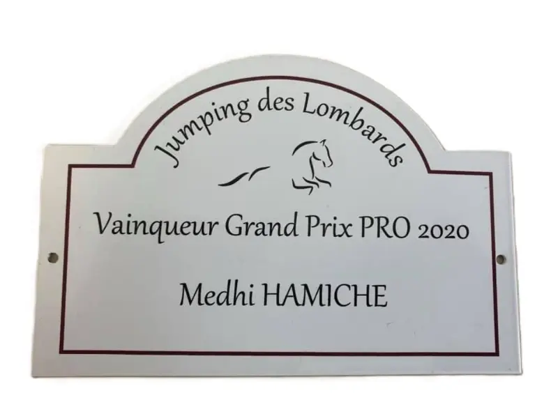 Safety plaque personnalisée pour cheval — modèle 1