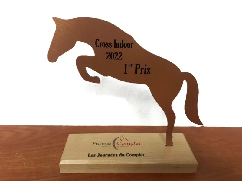 Trophée en acrylique bicouche — modèle 1