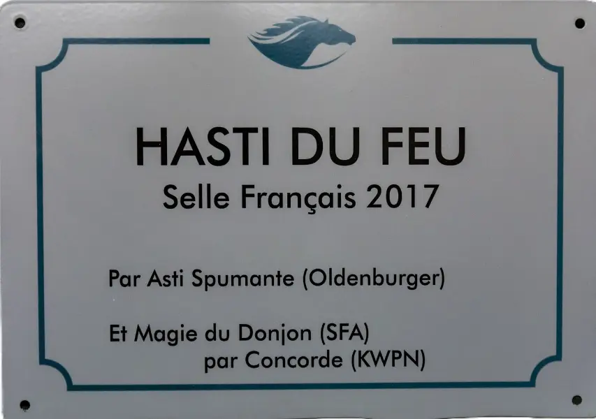 Plaque signalétique d'écurie personnalisée — modèle 1