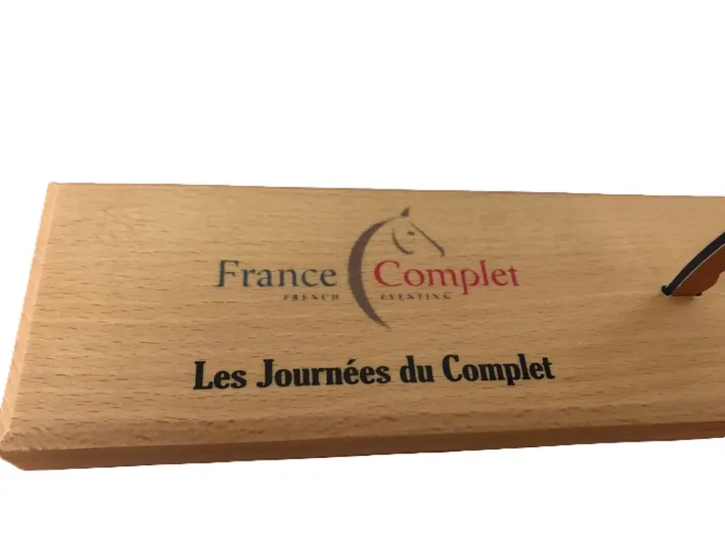 Trophée en acrylique bicouche — modèle 2