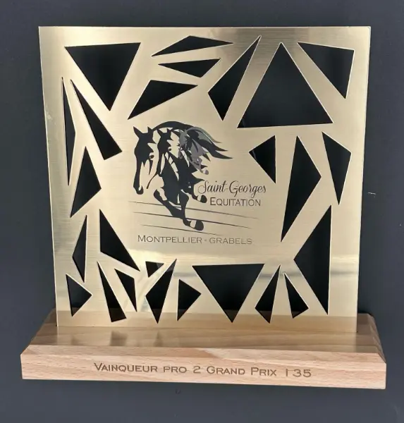 Trophée en plexiglas transparent 5 mm imprimé