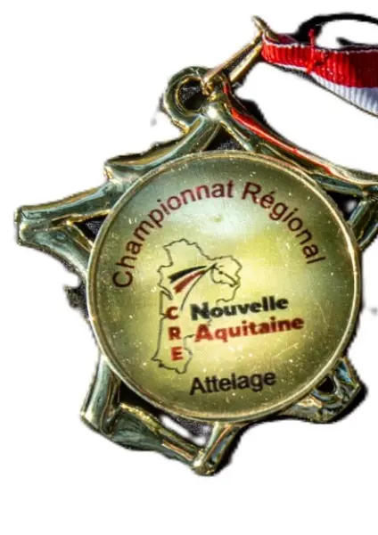 Médaille cheval personnalisée