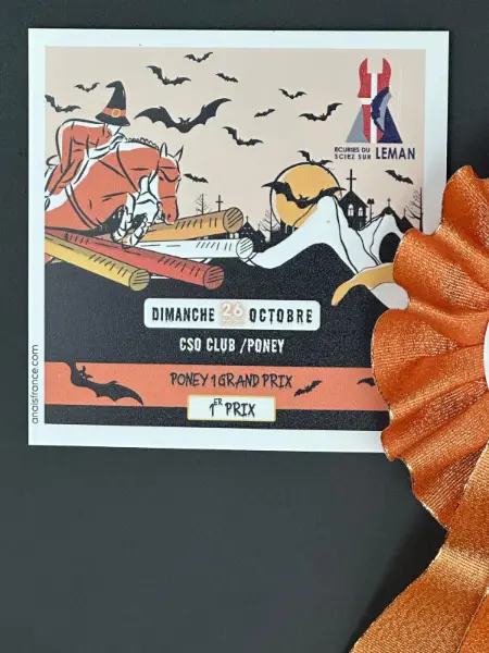 Plaque de concours personnalisée Anaïs France — modèle 4