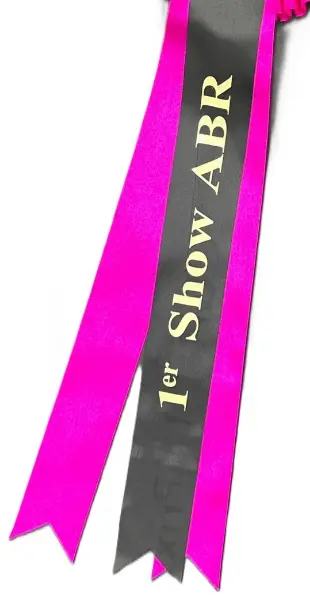 Flot de concours personnalisé — modèle 23