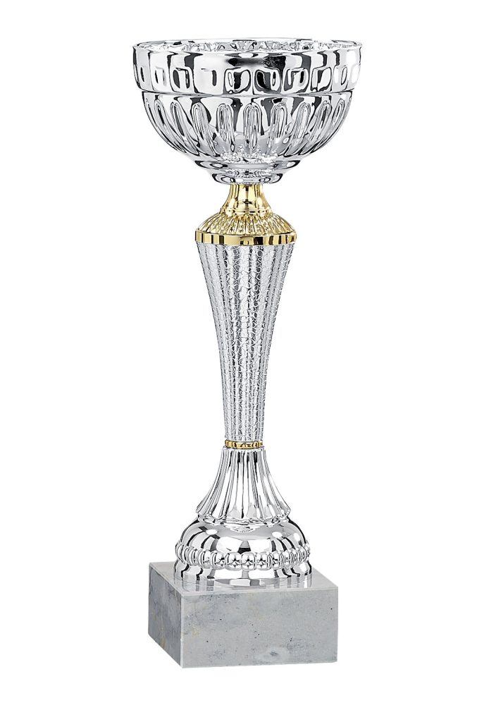 Lot de coupes de récompense — modèle 1