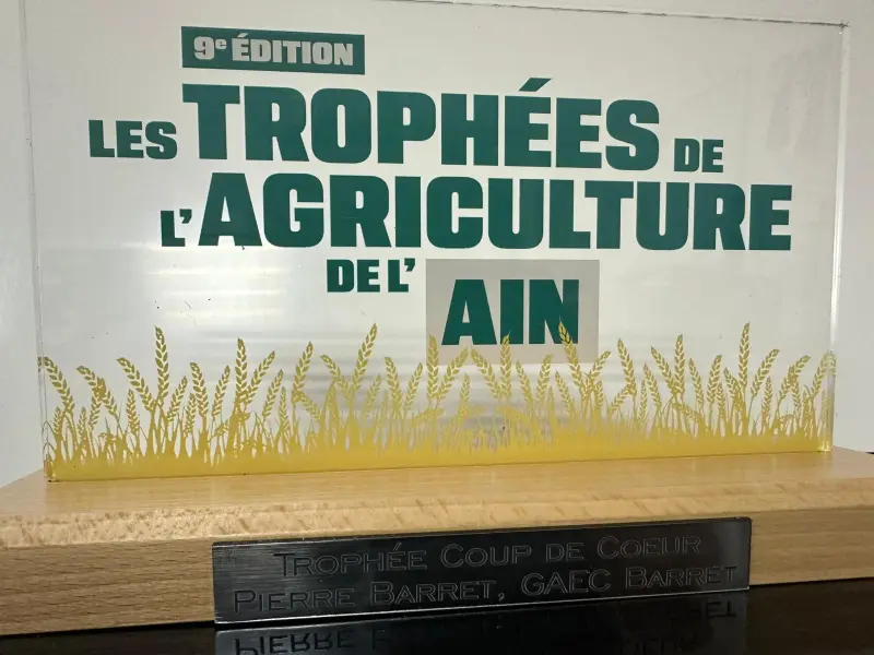 Plateau argenté gravé au laser — modèle 4