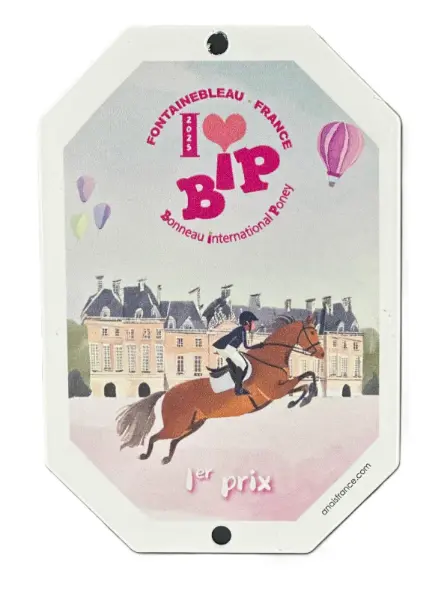 Plaque en plexiglas personnalisée — modèle 10