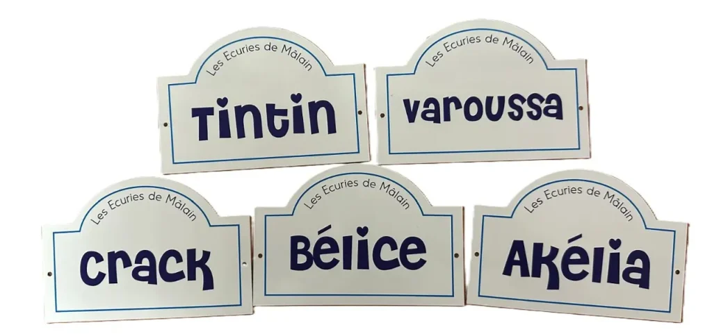 Plaque signalétique d'écurie personnalisée — modèle 4