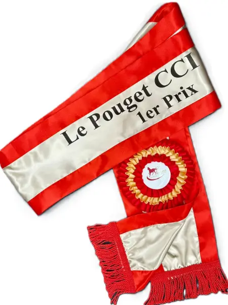 Écharpe Miss – Mister personnalisée — modèle 4