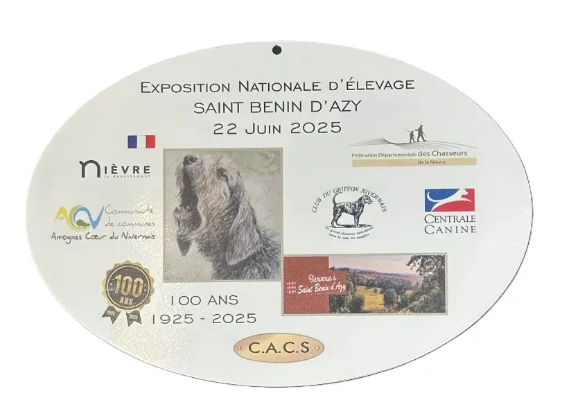 Plaque en plexiglas personnalisée — modèle 9